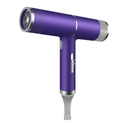 Household Hair Dryer